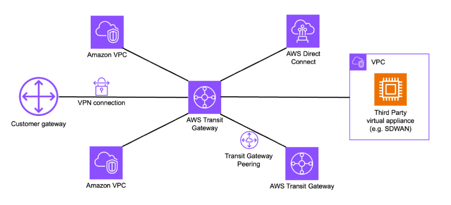 Hub-and-spoke topology with shared network resources