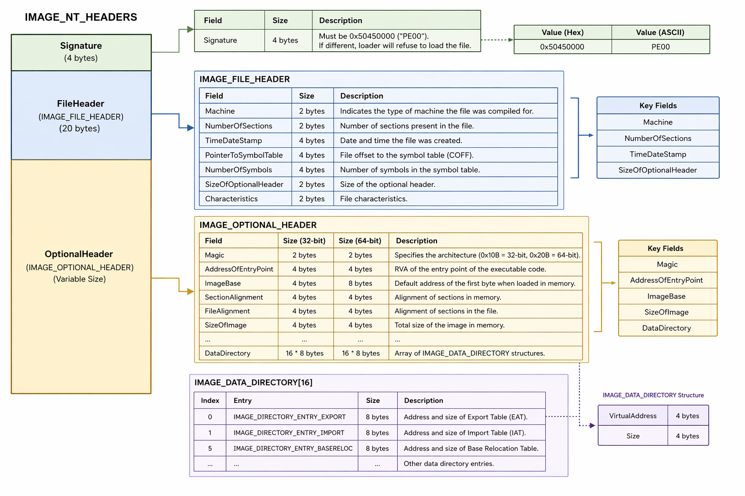 NT headers and Optional Header structure