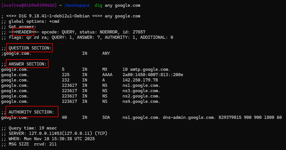 Dig Query Result