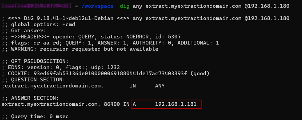 CNAME Query Result
