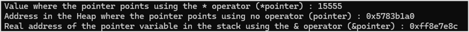 Pointer Operations Output
